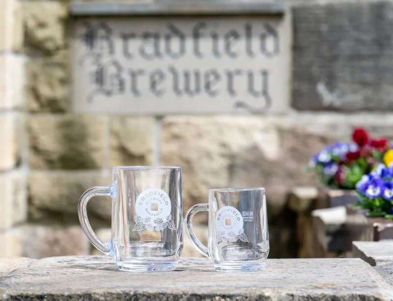 pint and half pint tankard